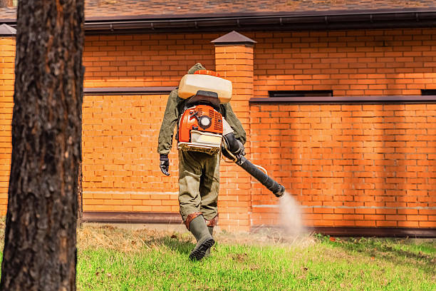 Trusted Termite Control service in Lake Goodwin, WA - Nex Pest Control